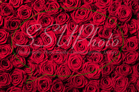 Roses04