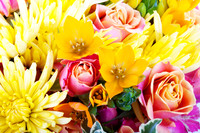 flowers02