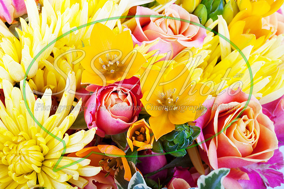 flowers02