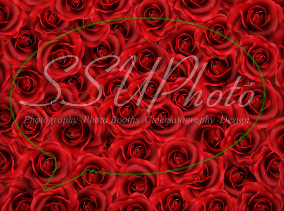 Roses01