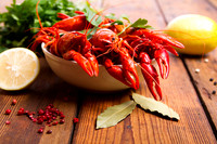 Food14