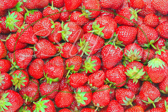 Food7