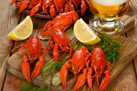 Food12