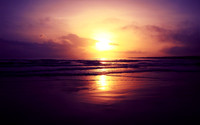 Landscapes8