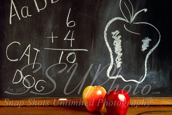 school5