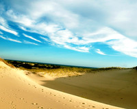 Landscapes13