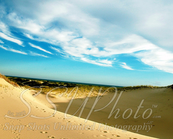Landscapes13