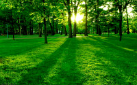 Landscapes11