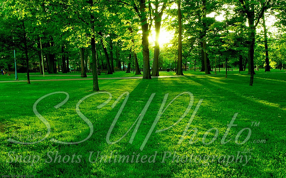 Landscapes11