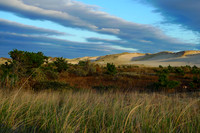 Landscapes19
