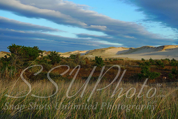 Landscapes19
