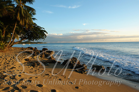 Landscapes24