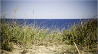 Landscapes20