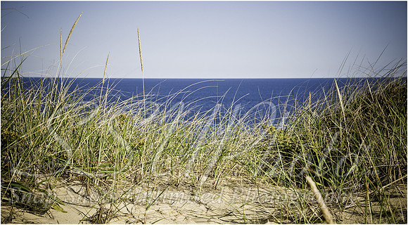 Landscapes20
