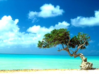 Landscapes7