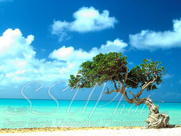 Landscapes7