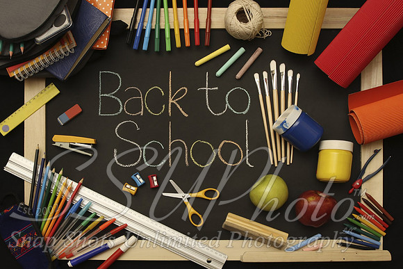 school3