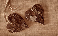 Wood8