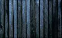 Wood10