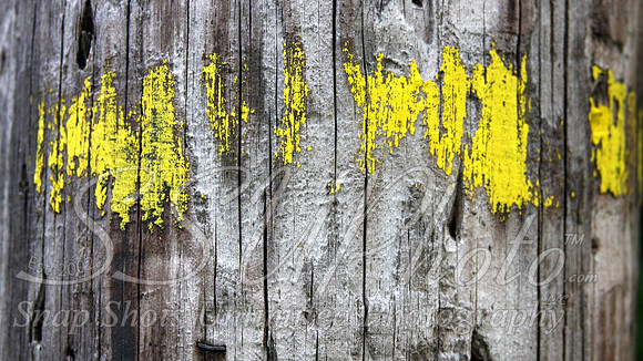 Wood9