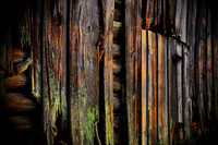 wood19