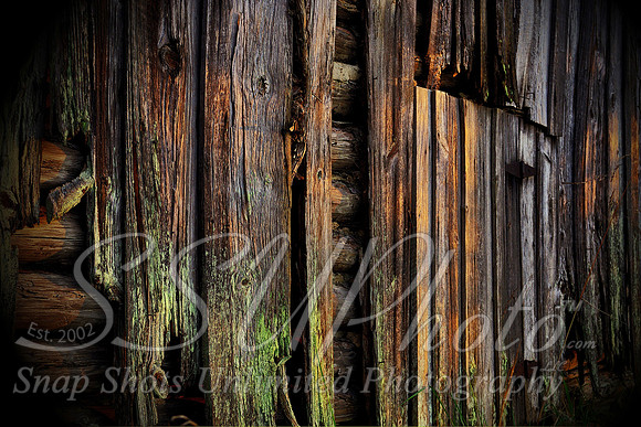 wood19