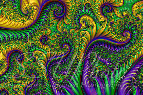Mardi Gra6