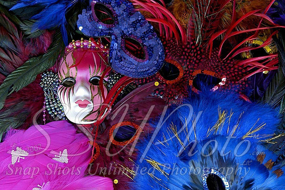 Mardi Gra2