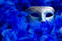 Mardi Gra7