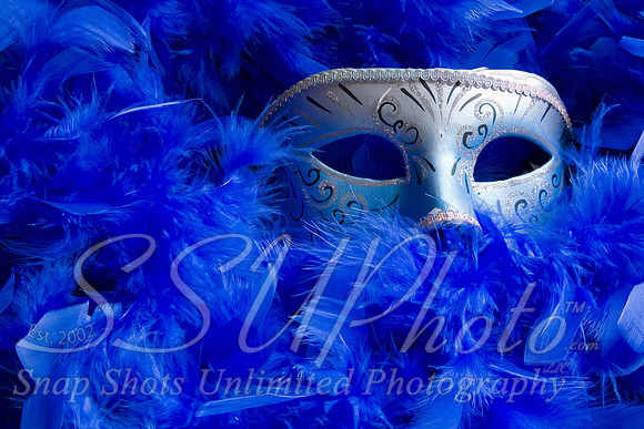 Mardi Gra7