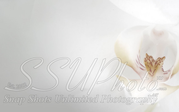 Wedding5