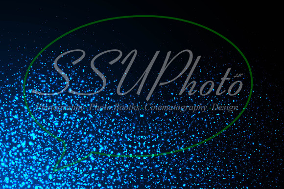 sequinglitter26