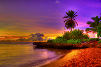 Tropical9