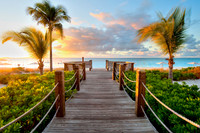 Tropical11
