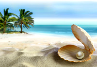 Tropical12