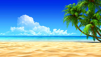 Tropical6