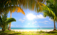 Tropical5