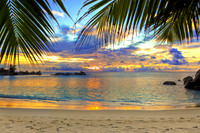 Tropical10