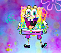 Sponge bob