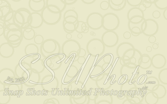 Bokeh09