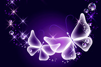 butterfly11