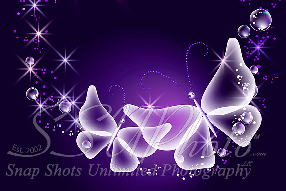 butterfly11