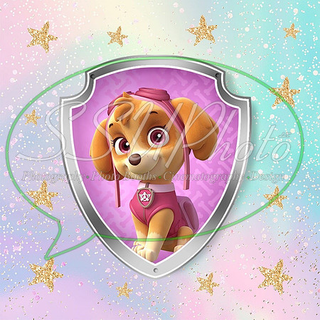 paw patrol71