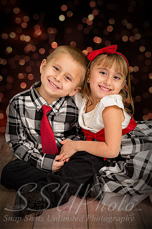 rosachristmas201500013