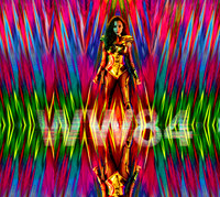 WW841