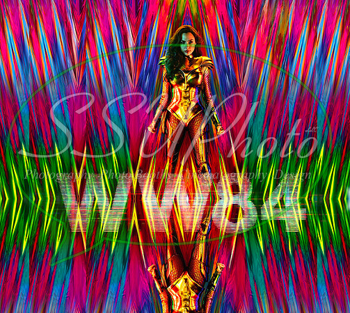 WW841