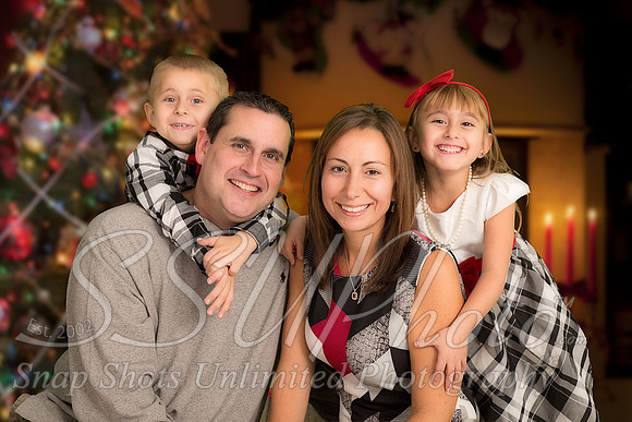 rosachristmas201500039