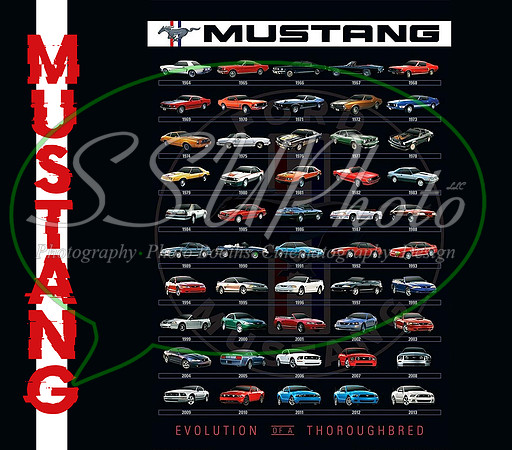 Mustang