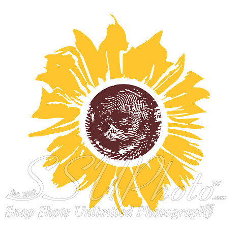 sunflower (1)