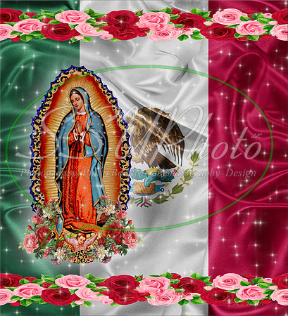 Nuestra Señora de Guadalupe 4